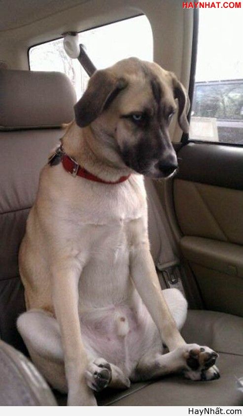 Liên khúc cười (Part 3) 8