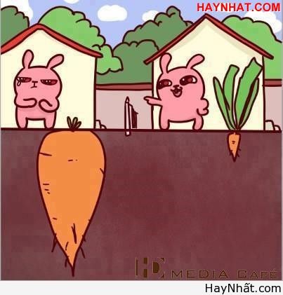 Liên khúc cười (Số 5) 6