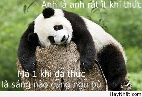 Liên khúc cười (số 10) 11