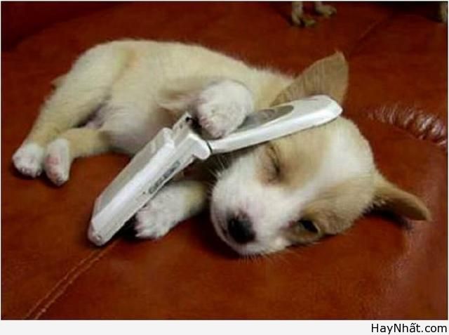 Liên khúc cười (số 11) 7