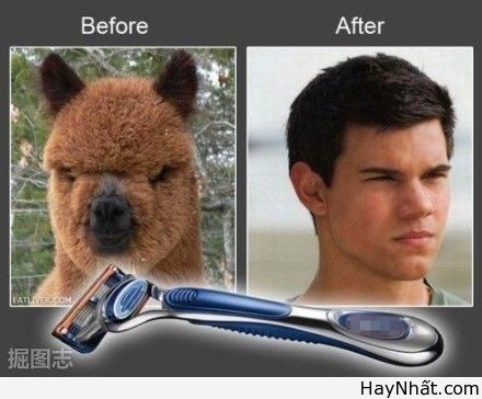 Liên khúc cười (số 11) 10