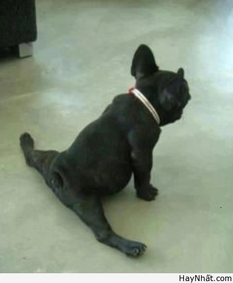 Liên khúc cười (số 12) 12