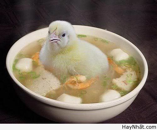 Liên khúc cười (số 14) 9