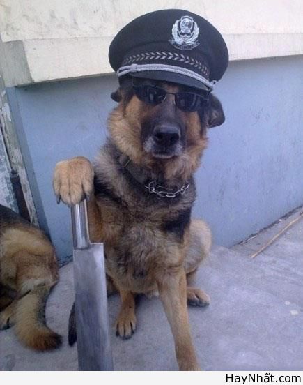 Liên khúc cười (số 9) 11