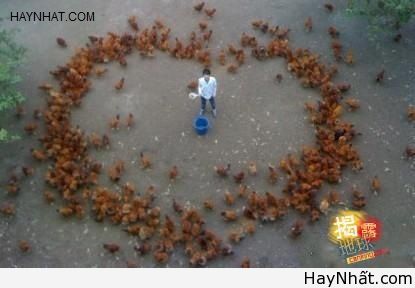 Liên khúc cười (số 24) 11