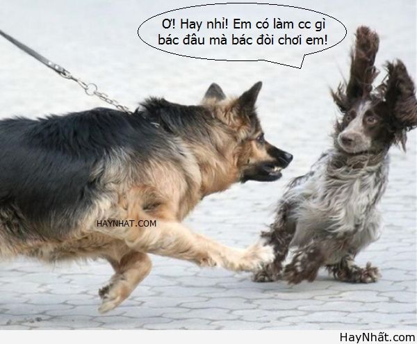 Ơ! Bác hay nhỉ! 2