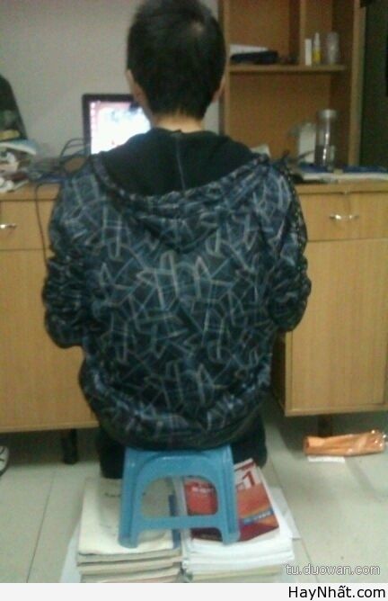 Những kiểu ghế ngồi sáng tạo 27