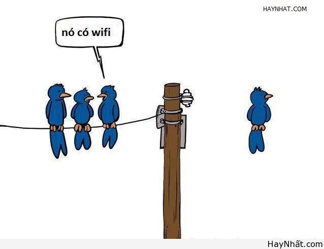 Không thể nhịn cười (số 2) 11