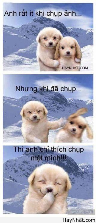 Không thể nhịn cười (số 3) 10