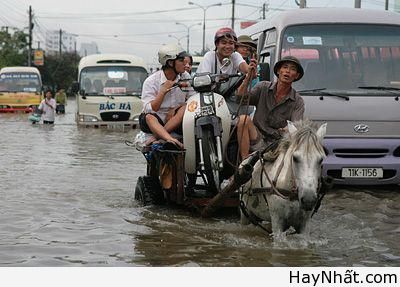 Không thể nhịn cười (số 6) 9