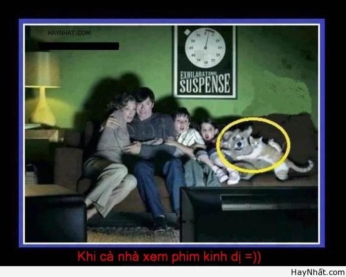 Không thể nhịn cười (số 6) 12