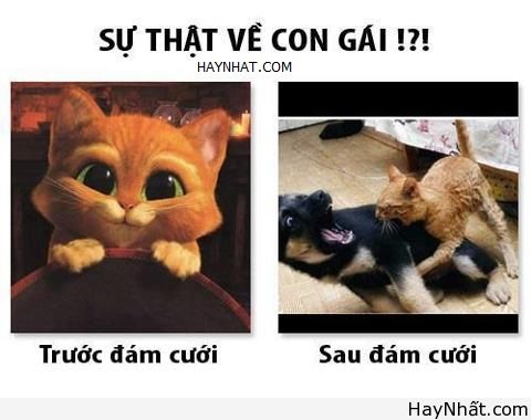 Không thể nhịn cười (số 6) 13