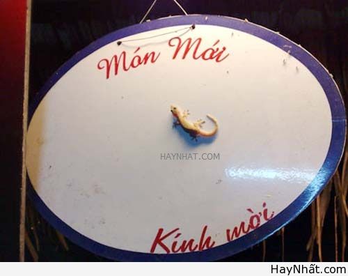 Không thể nhịn cười (Số 7) 12