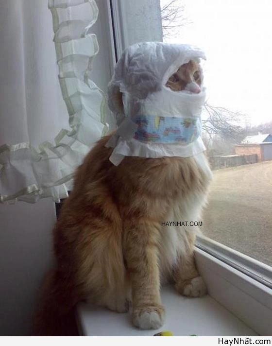 Liên khúc cười (số 16) 10