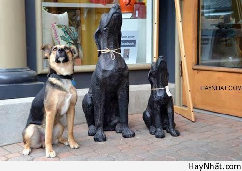 Liên khúc cười (số 18) 13