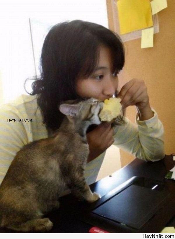 Liên khúc cười (số 19) 9