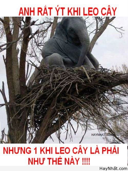 Liên khúc cười (số 20) 9