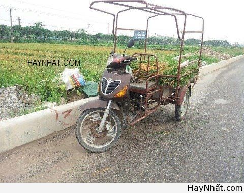 Liên khúc cười (số 21) 8