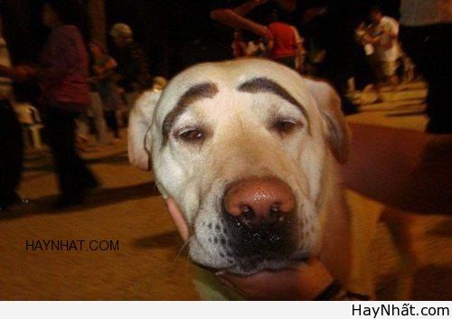 Liên khúc cười (số 21) 12