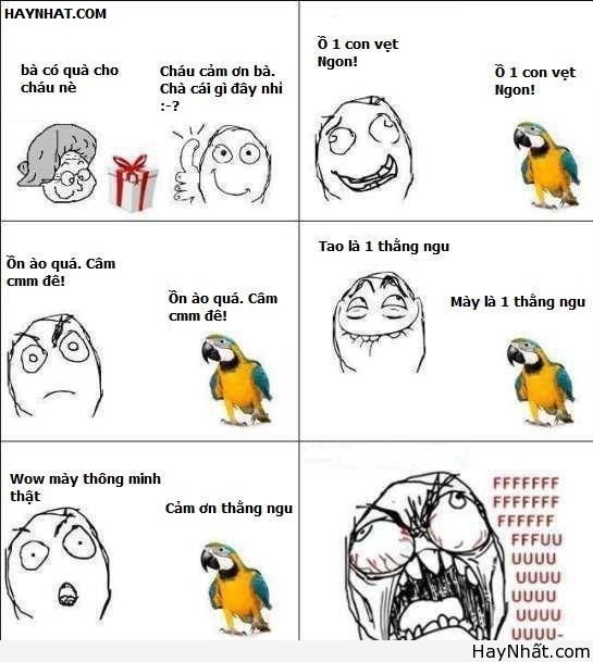 Con vẹt ranh mãnh!