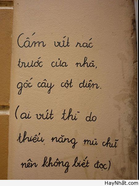 Chỉ có tại Việt Nam (Số 7) 9