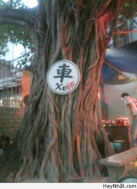 Chỉ có tại Việt Nam (Số 7) 10