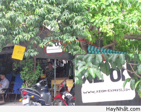 Chỉ có tại Việt Nam (Số 3) 9