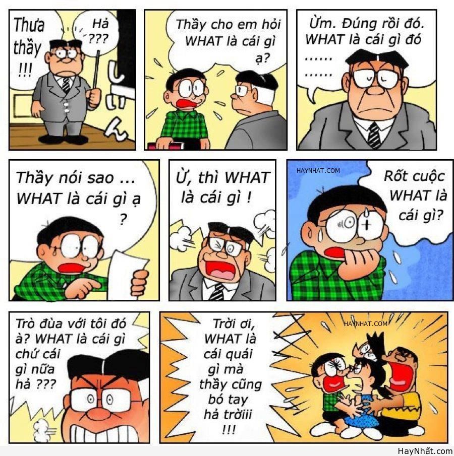 WHAT là gì?