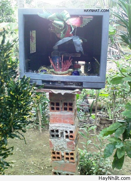 Bàn thiên kiểu Việt Nam 2