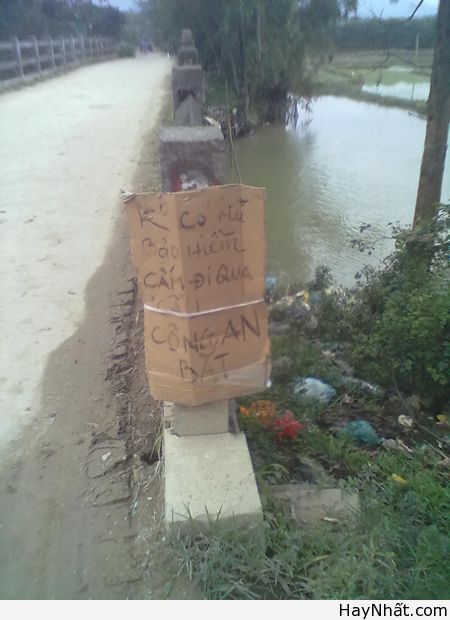 Chỉ có tại Việt Nam (Số 1) 11