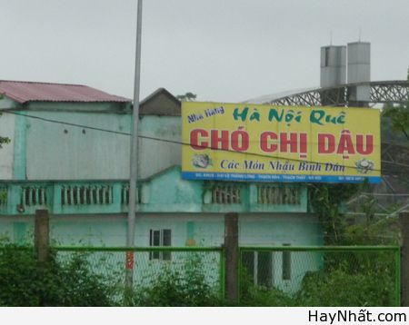 Chị Dậu bán thịt chó? 2