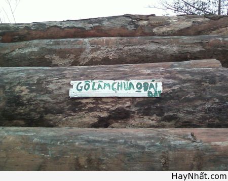 Chỉ có tại Việt Nam (Số 2) 10