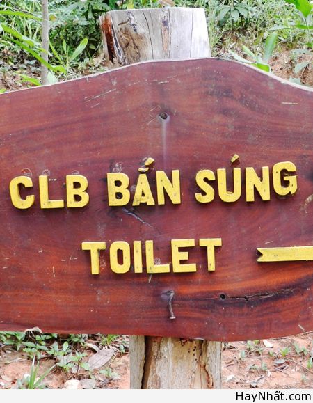 Chỉ có tại Việt Nam (Số 1) 9