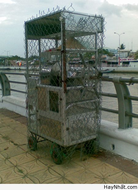 Chỉ có tại Việt Nam (Số 4) 10