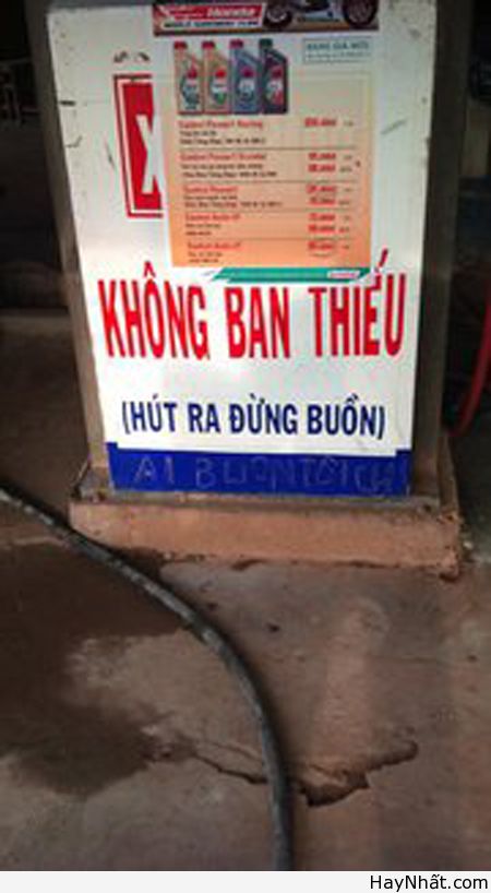 Chỉ có tại Việt Nam (Số 5) 11