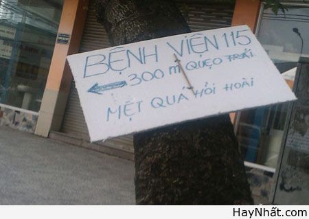 Chỉ có tại Việt Nam (Số 5) 12