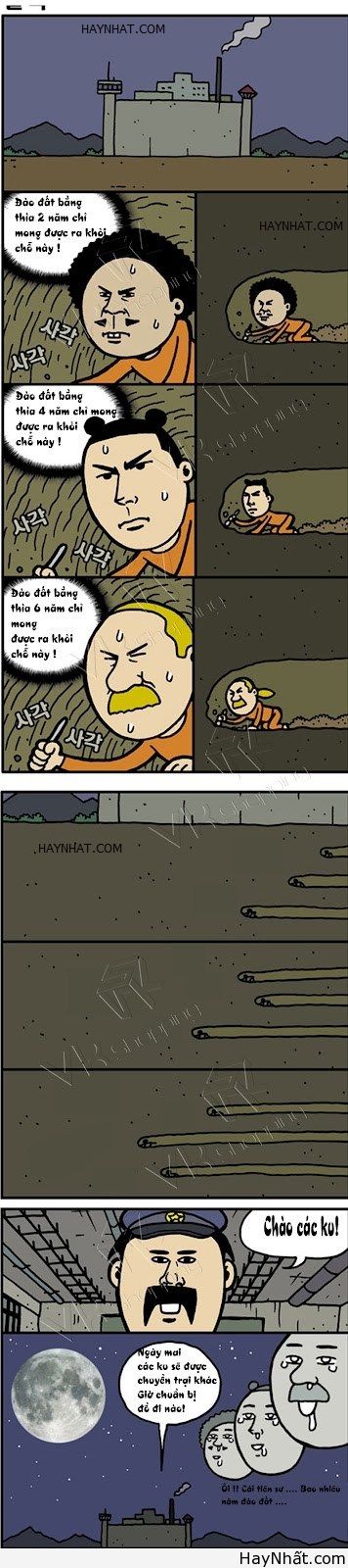 Công cốc bao nhiêu năm!