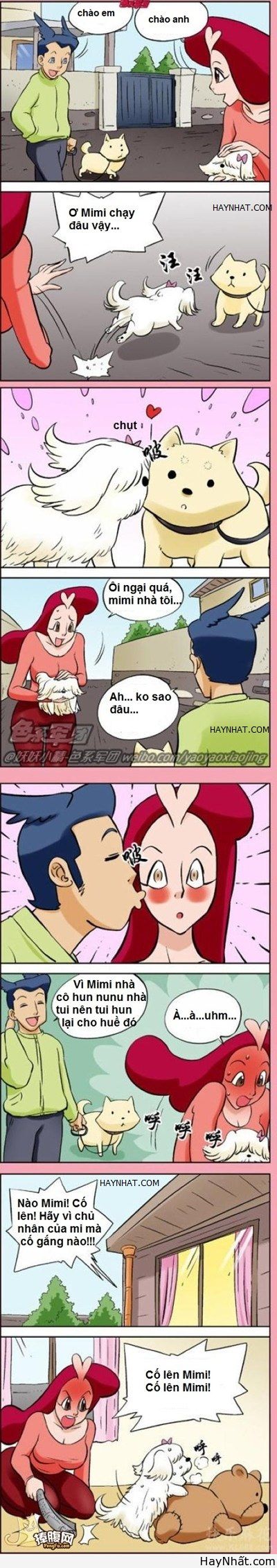 Cố lên cún cưng!