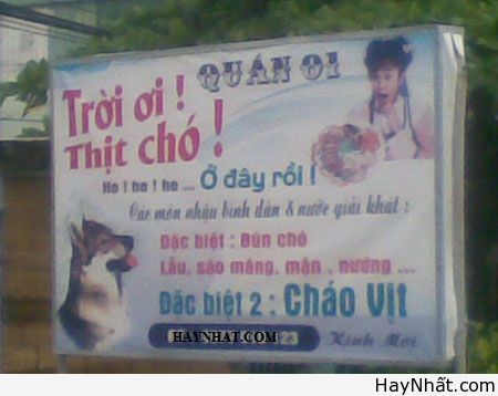 Chỉ có tại Việt Nam (Số 7) 8