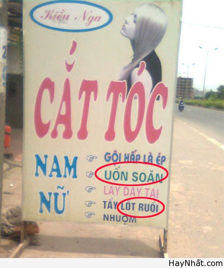 Phong ba bão táp trong Tiếng Việt 10