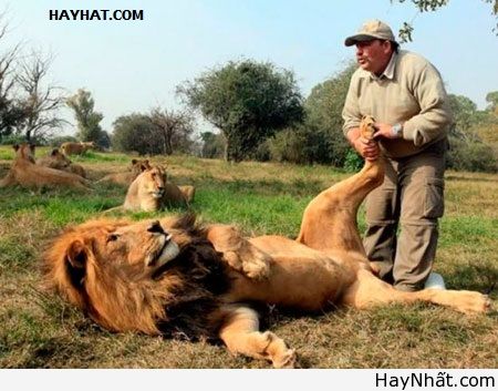 Những hành động rất "khó đỡ" 11