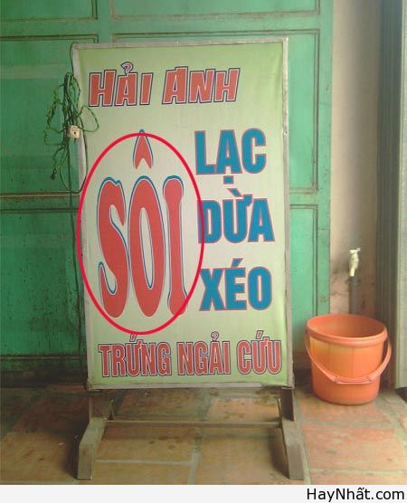 Phong ba bão táp trong Tiếng Việt 11