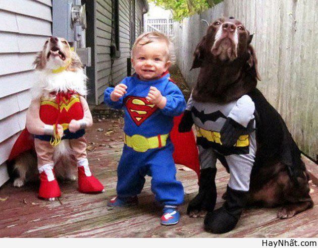 Té ghế với các funny baby 9