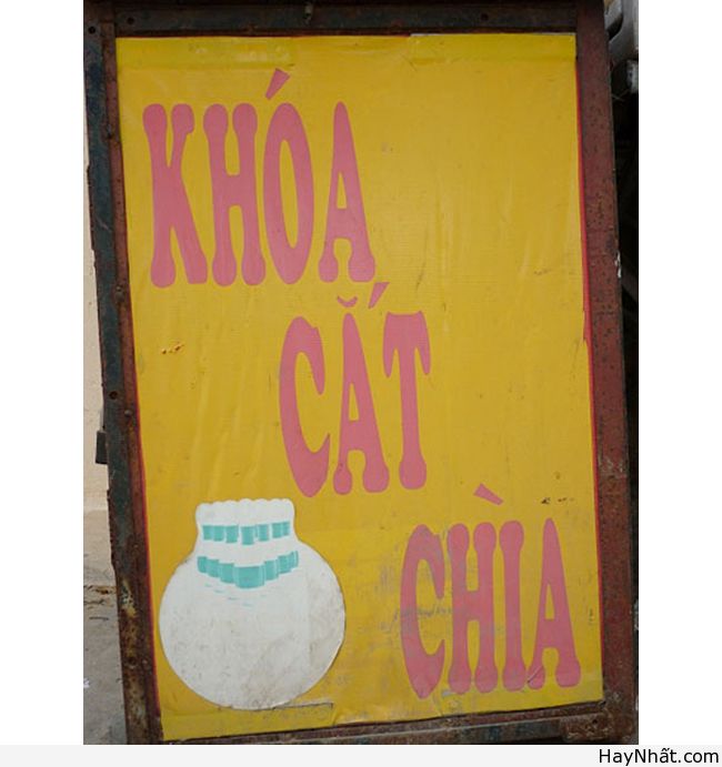 Phong ba bão táp trong Tiếng Việt 15