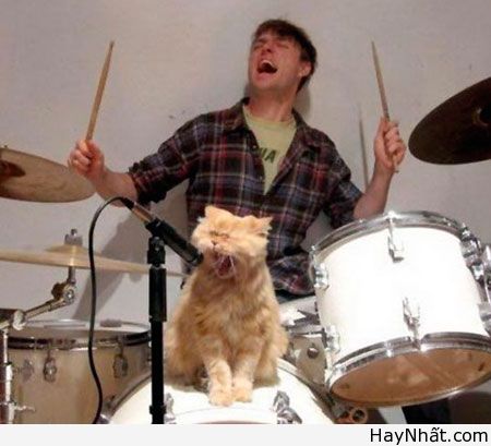 Cười ra nước mắt cùng thú.. cưng 18