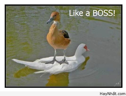 Vui cùng thế giới động vật (P.1) 18