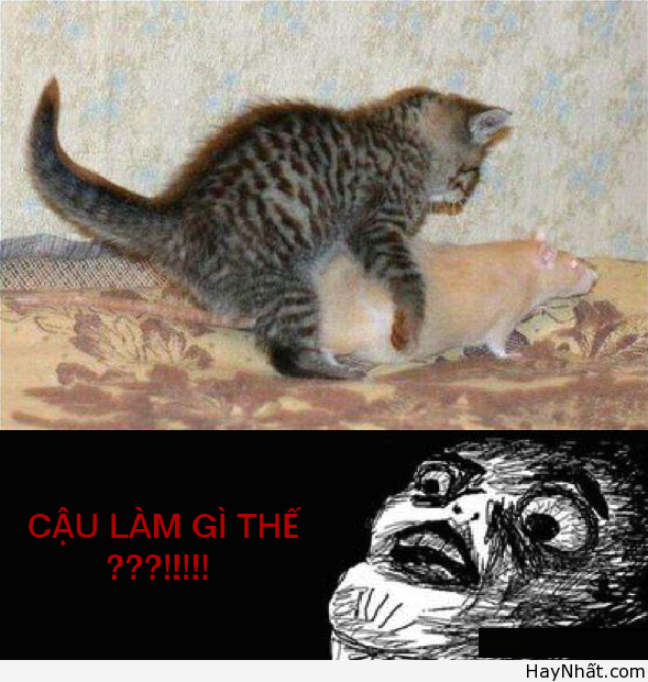 Vui cùng thế giới động vật (P.1) 10