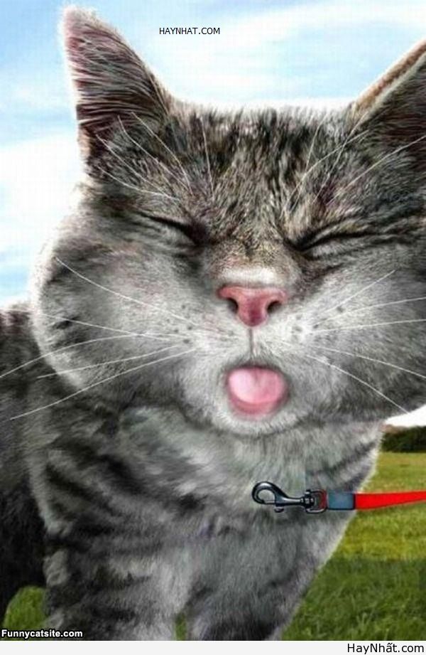 Vui cùng thế giới động vật (P.1) 13