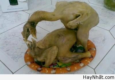 Vui cùng thế giới động vật (P.1) 15