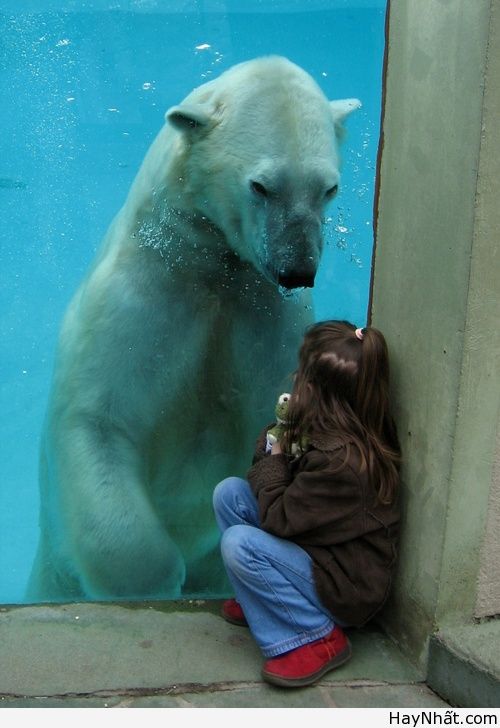 Vui cùng thế giới động vật (P.1) 17